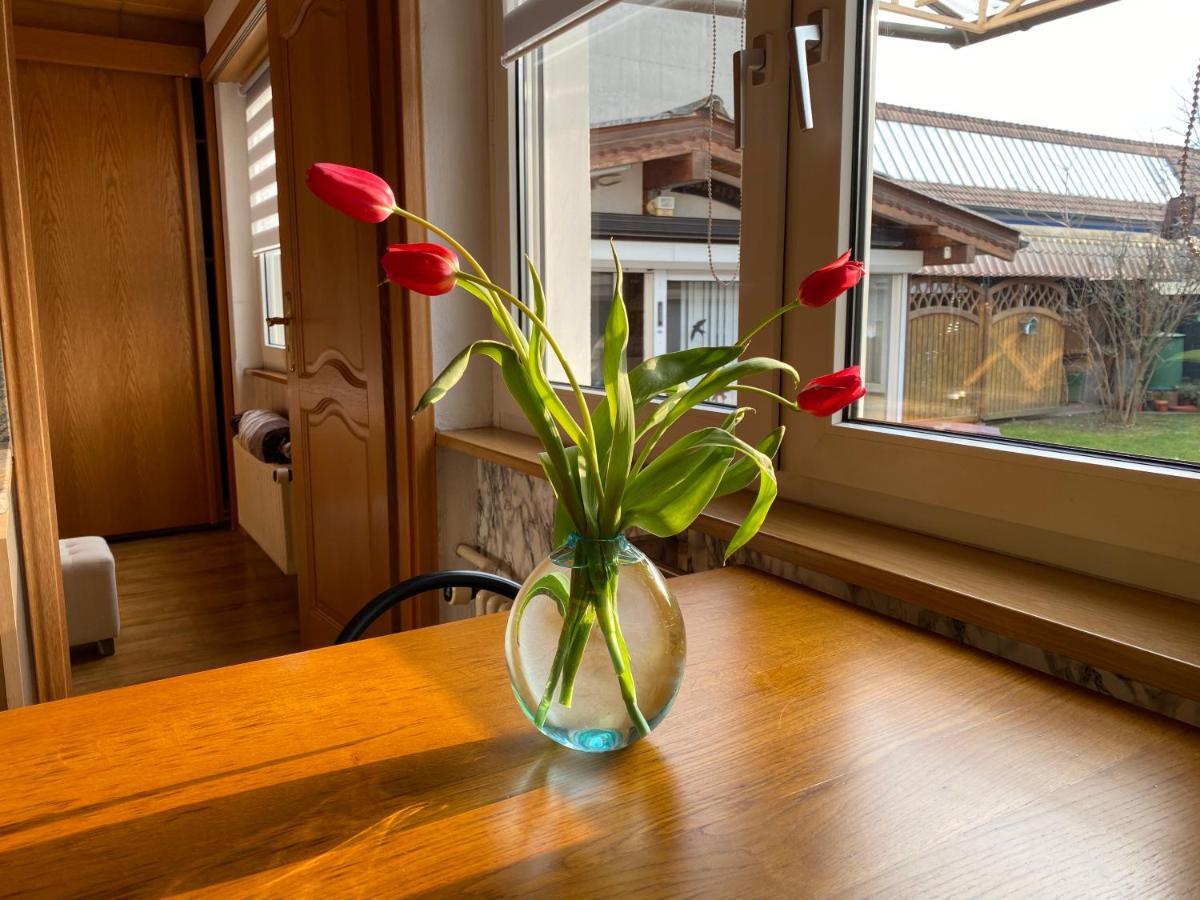 Appartement 3 Lys サン・ルイ エクステリア 写真